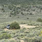 Review photo of Bridgeport Travertine Hot Springs Dispersed by Shane C., June 6, 2022