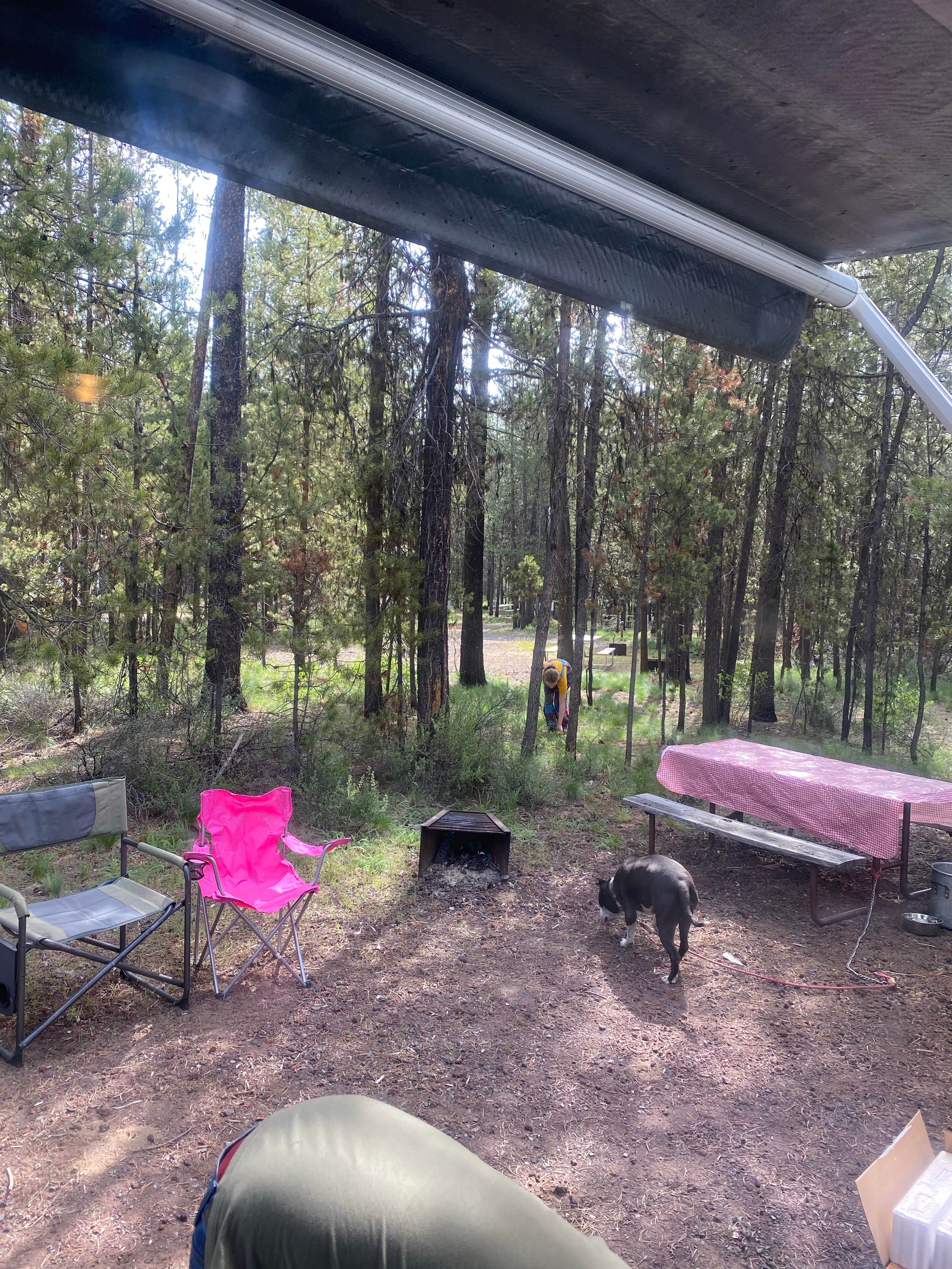 Christie U.'s photo of camping with pets at Thousand Trails Bend-Sunriver near Deschutes & Ochoco National Forests & Crooked River National Grassland
