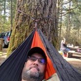 Review photo of Alsea Falls Recreation Site (campground) by Christie U., June 6, 2022