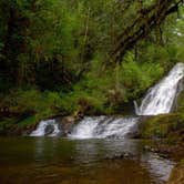 Review photo of Alsea Falls Recreation Site (campground) by Christie U., June 6, 2022