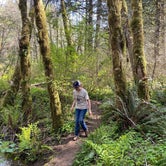 Review photo of Alsea Falls Recreation Site (campground) by Christie U., June 6, 2022