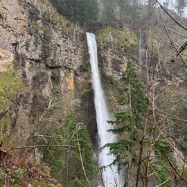 Multnomah Falls from a vantage point about 0.5 miles from the parking lot