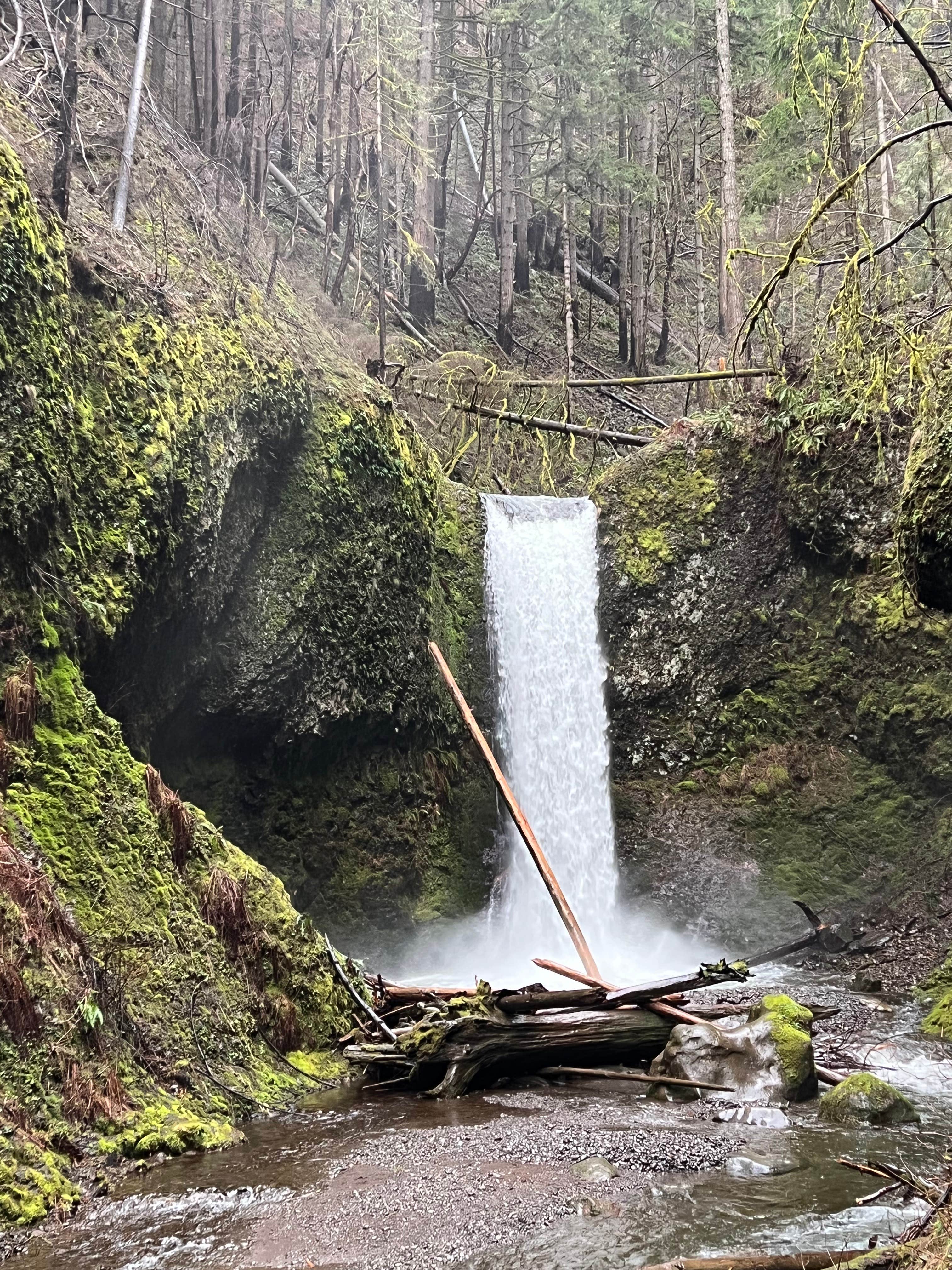 Camper submitted image from Multnomah Falls Parking Lot (Day Use) - 2