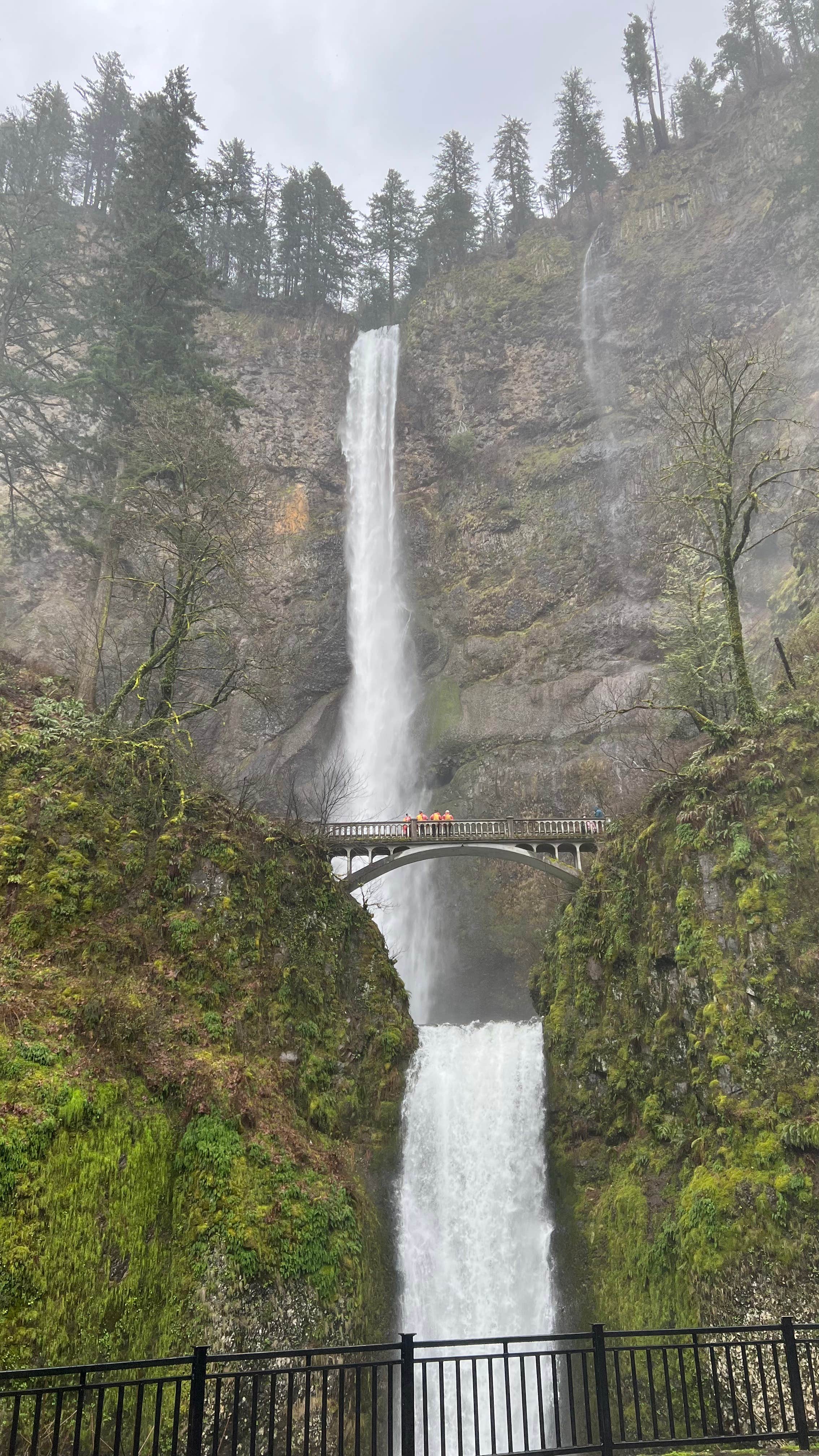 Camper submitted image from Multnomah Falls Parking Lot (Day Use) - 5