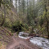 Review photo of Multnomah Falls Parking Lot (Day Use) by Mark F., June 6, 2022