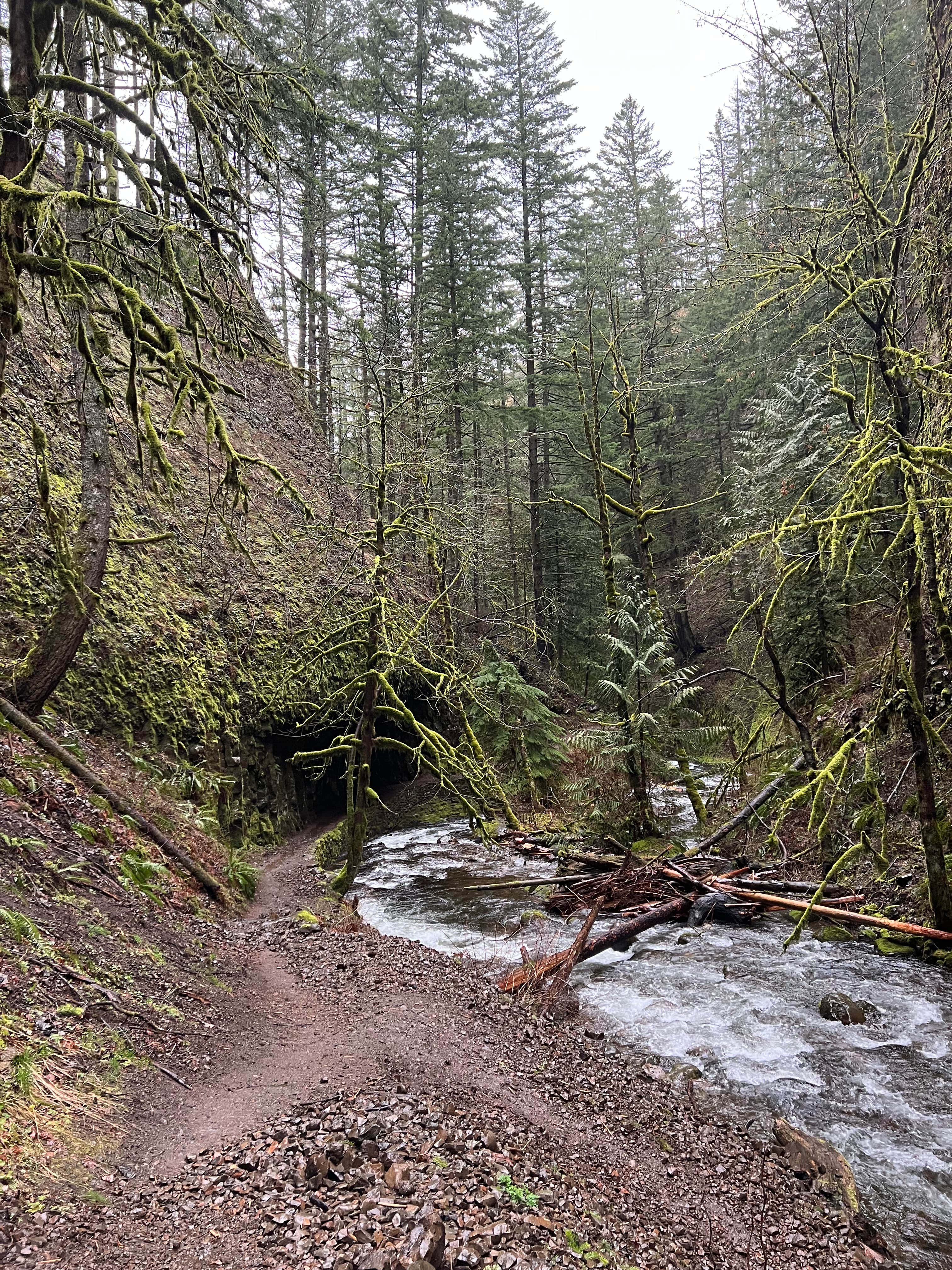 Camper submitted image from Multnomah Falls Parking Lot (Day Use) - 5