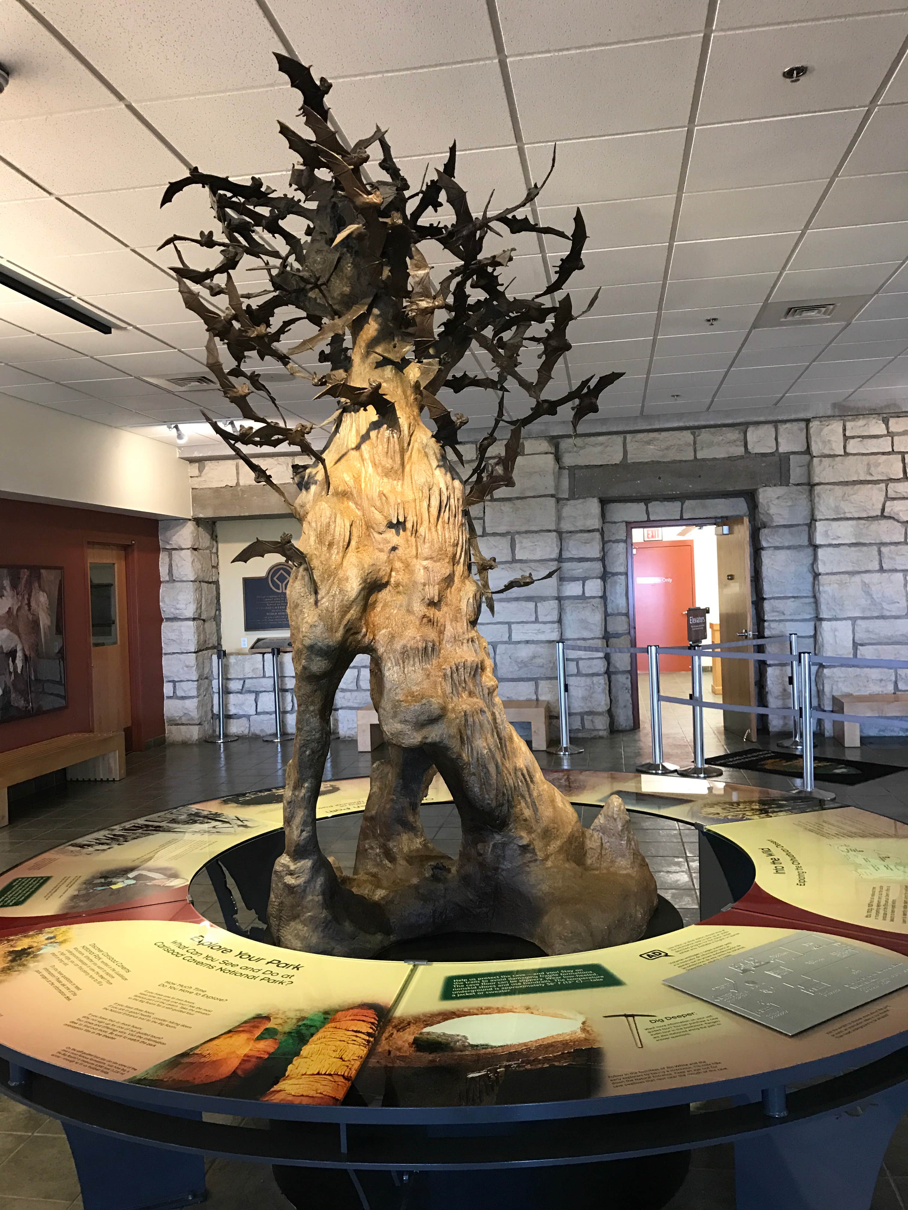 Camper-submitted photo at Carlsbad RV Park & Campground near Artesia, NM