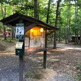 Review photo of West Rim - Cloudland Canyon State Park by J. Blake S., June 7, 2022