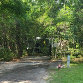 Review photo of Village Creek State Park Campground by Cat R., June 7, 2022