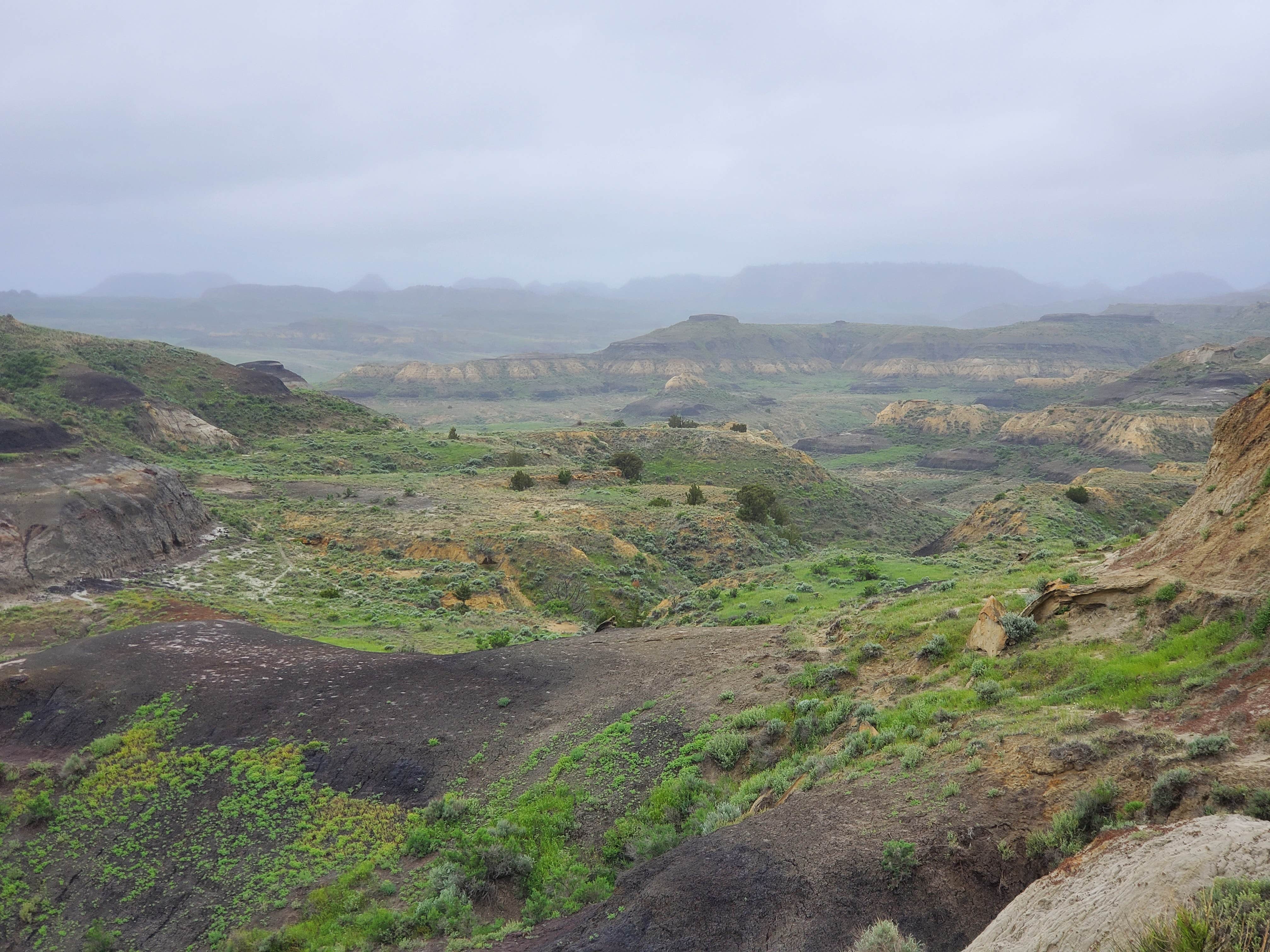Camper-submitted photo at Small Towne RV Campground near Terry, MT