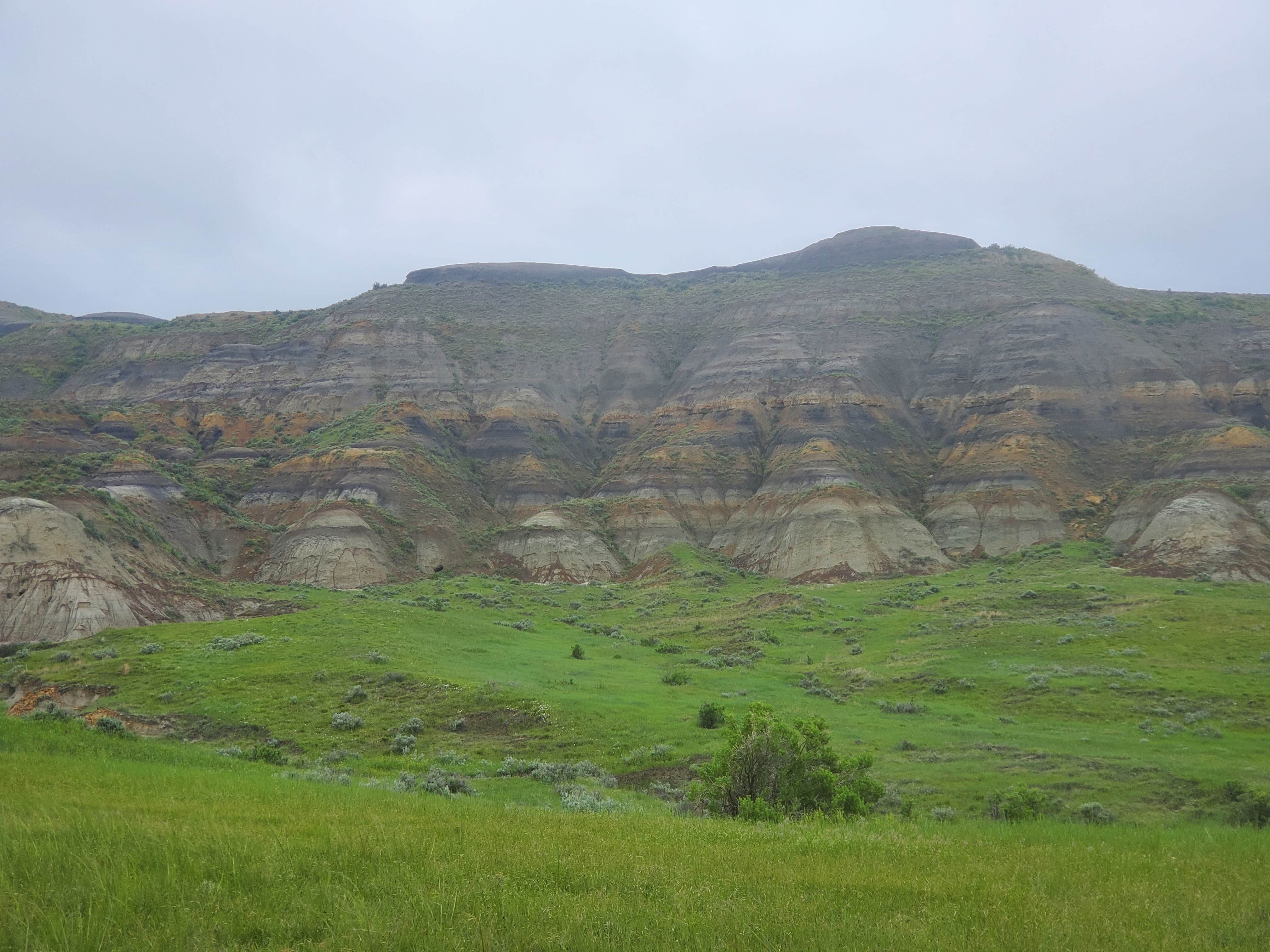 Camper-submitted photo at Small Towne RV Campground near Miles City, MT