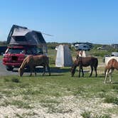 Review photo of Oceanside Assateague Campground — Assateague Island National Seashore by Justin C., June 7, 2022