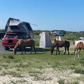Review photo of Oceanside - Assateague Island National Seashore by Justin C., June 7, 2022