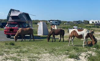 Justin C.'s photo of camping with a horse at Assateague Island National Seashore Oceanside Campground near Hollywood, MD