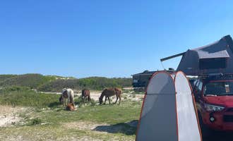 Camping near Sun Outdoors Ocean City: Oceanside Assateague Campground — Assateague Island National Seashore, Assateague Island National Seashore, Maryland