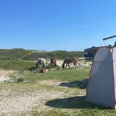 Review photo of Assateague Island National Seashore Oceanside Campground by Justin C., June 7, 2022