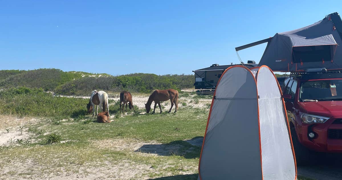Assateague Island National Seashore Oceanside Campground