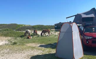 Justin C.'s photo at Assateague Island National Seashore Oceanside Campground near Berlin, MD