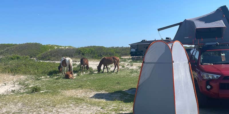 Camper submitted image from Assateague Island National Seashore Oceanside Campground