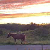 Review photo of Oceanside Assateague Campground — Assateague Island National Seashore by Justin C., June 7, 2022