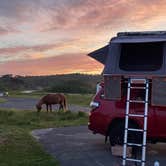 Review photo of Oceanside Assateague Campground — Assateague Island National Seashore by Justin C., June 7, 2022