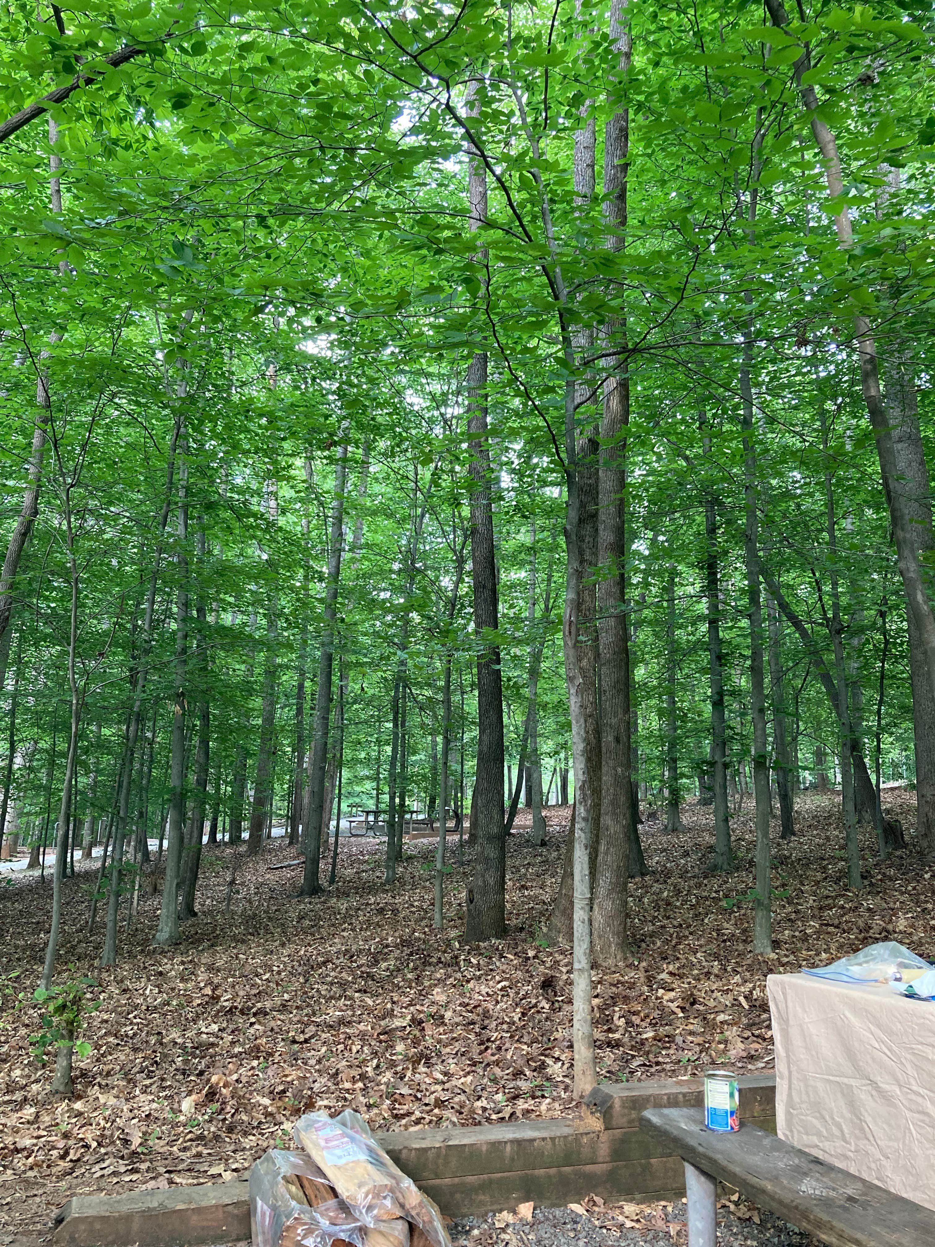 Charlotte B.'s photo at Smith Mountain Lake State Park Campground near Thaxton, VA