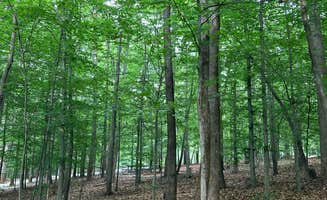 Charlotte B.'s photo at Smith Mountain Lake State Park Campground near Cloverdale, VA