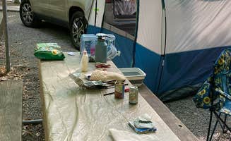 Charlotte B.'s photo at Smith Mountain Lake State Park Campground near Moneta, VA