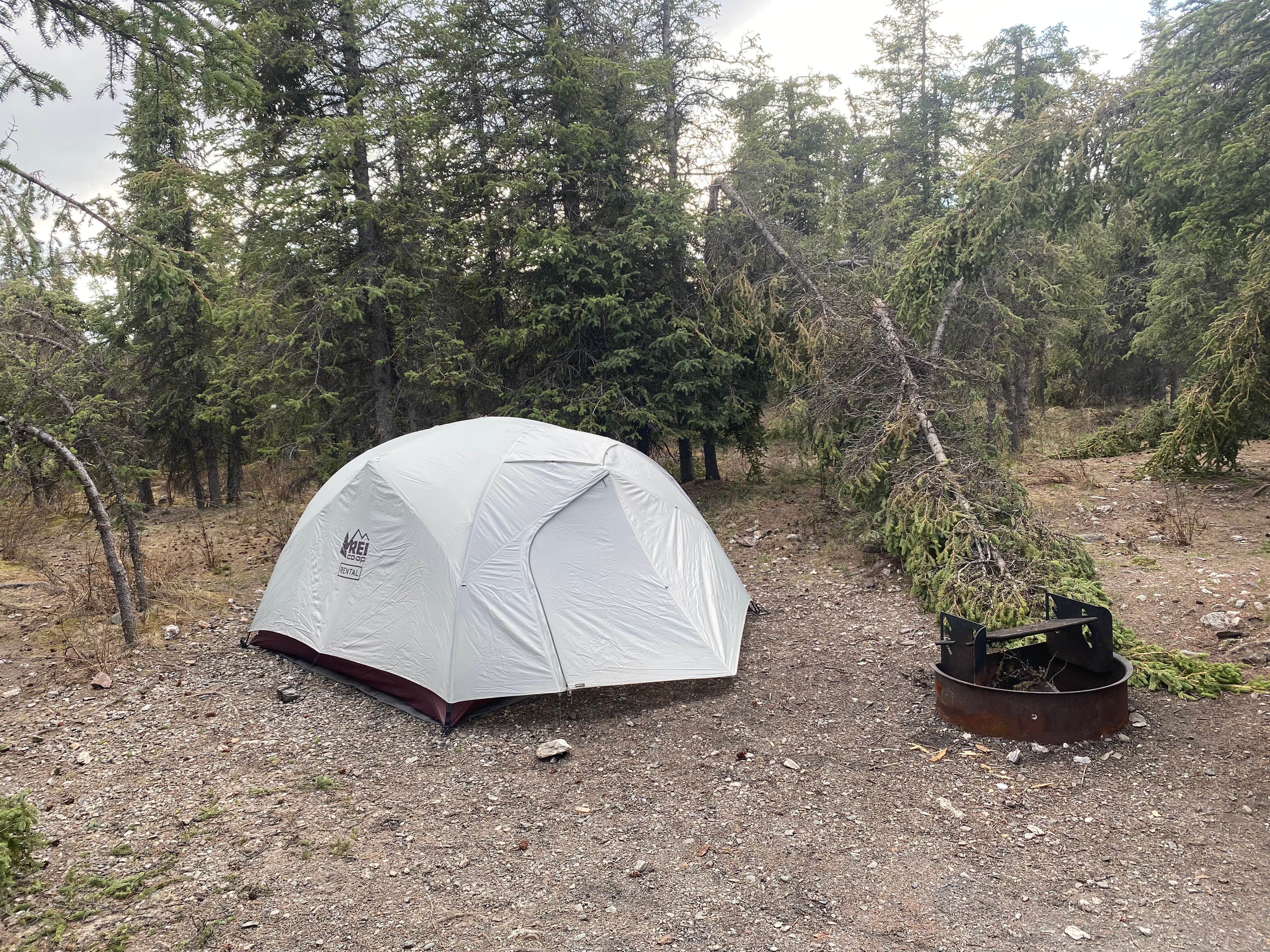 Angie G.'s photo at Savage River Campground — Denali National Park near Healy, AK