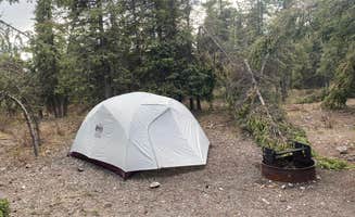 Angie G.'s photo at Savage River Campground — Denali National Park near Healy, AK
