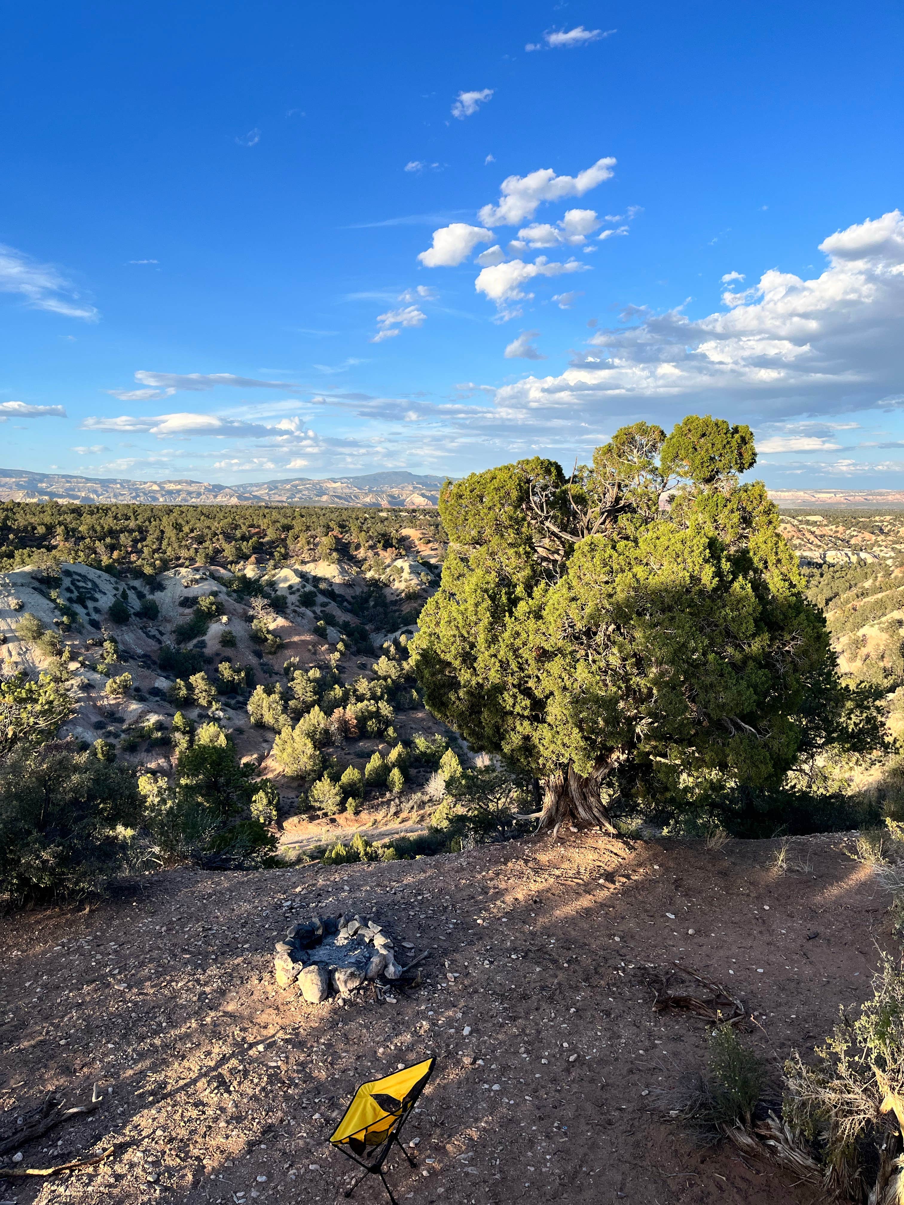 Camper submitted image from Willis Creek Road - 3