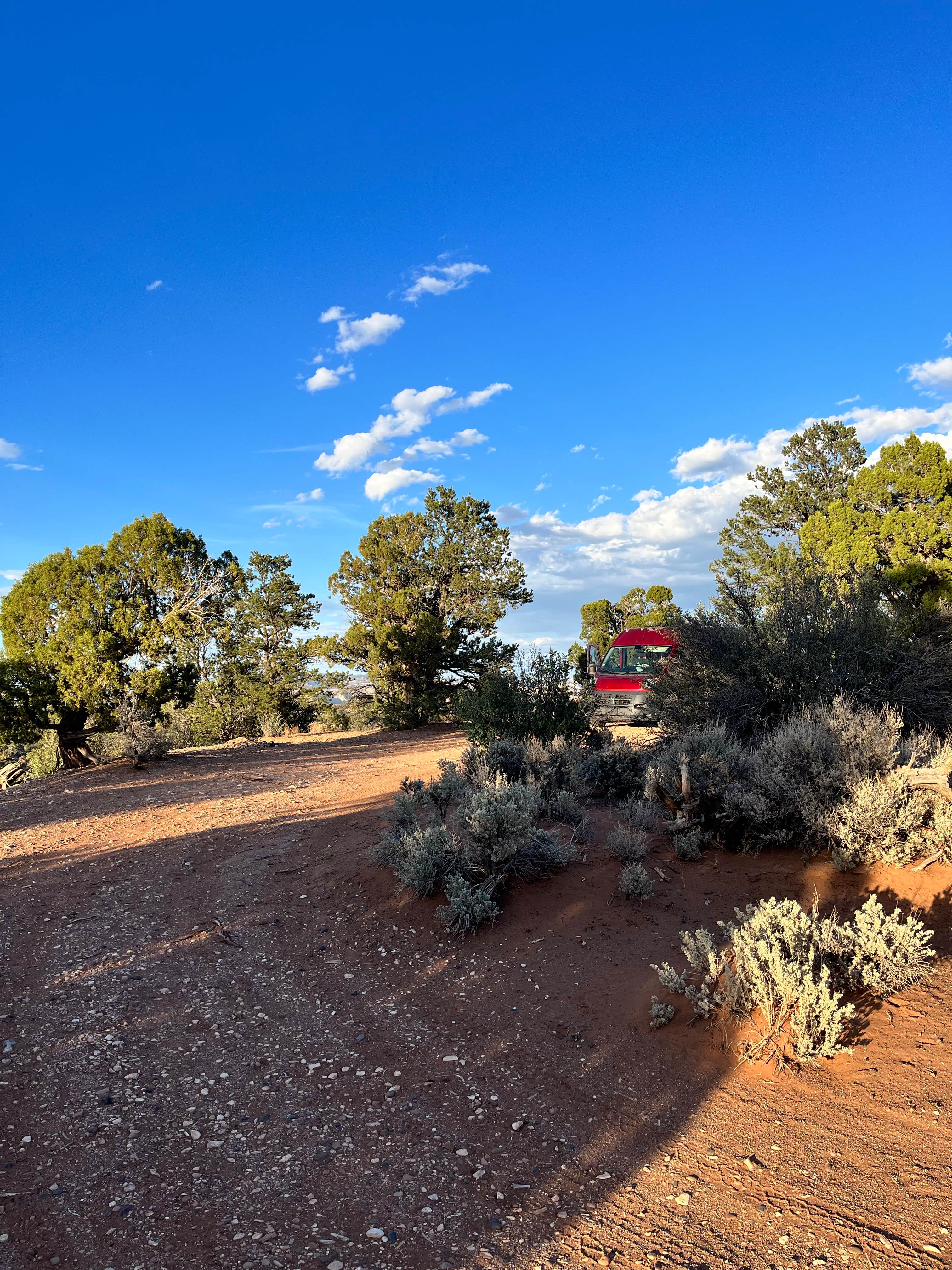 Camper submitted image from Willis Creek Road - 1