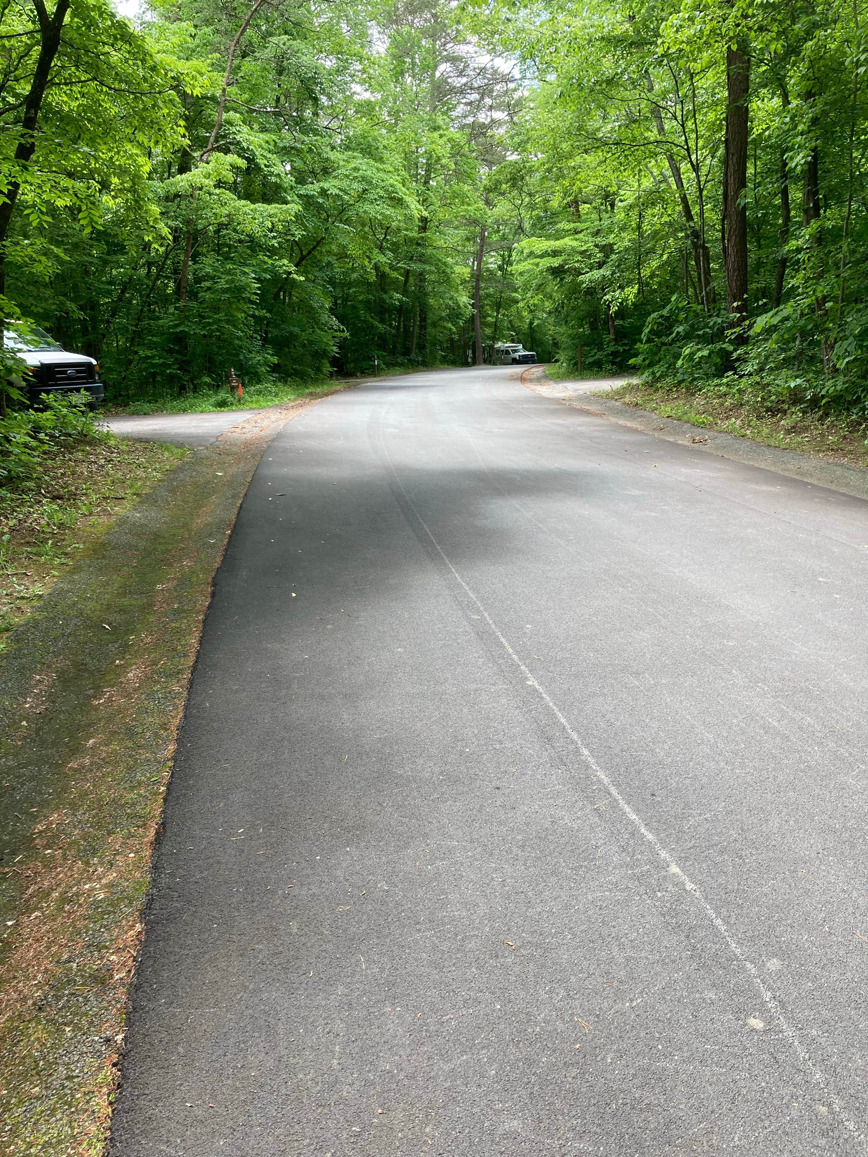 Camper-submitted photo at Lee State Park Campground near Elgin, SC