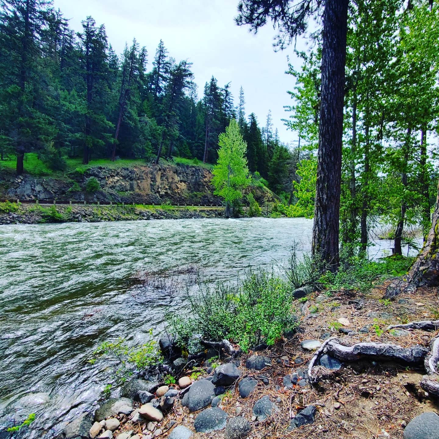 Camper submitted image from Halfway Flat Campground - 2