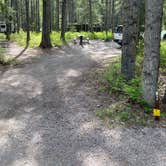 Review photo of Apgar Campground — Glacier National Park by Peter , June 7, 2022