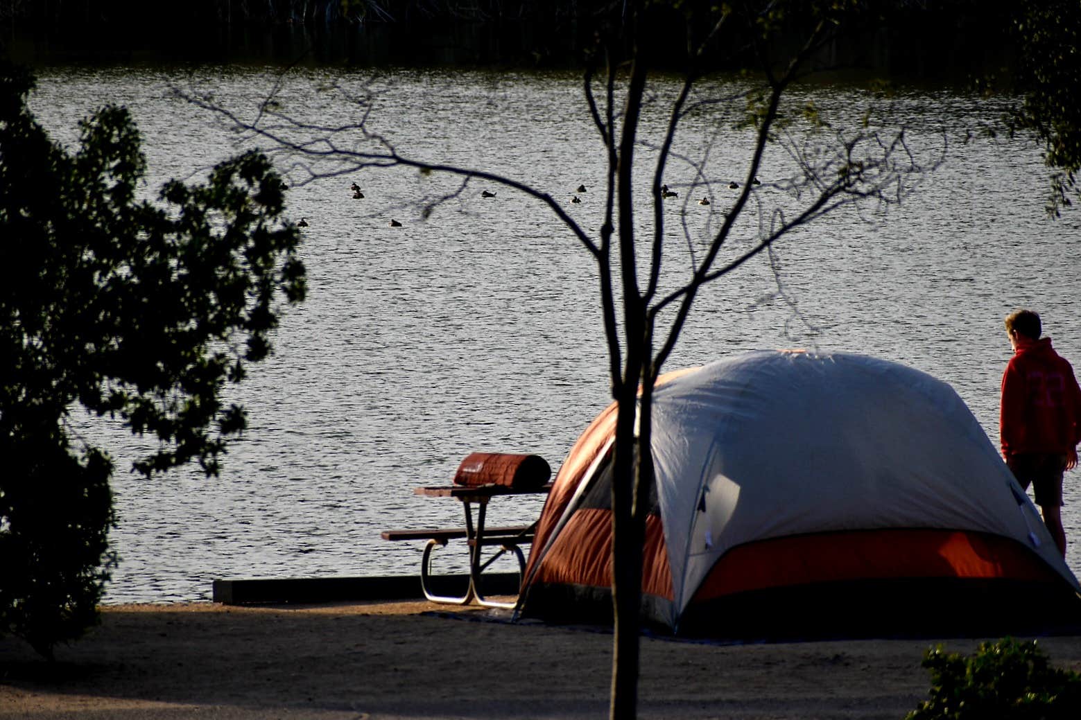 Shawna F.'s photo at Santee Lakes Recreation Preserve near Spring Valley, CA