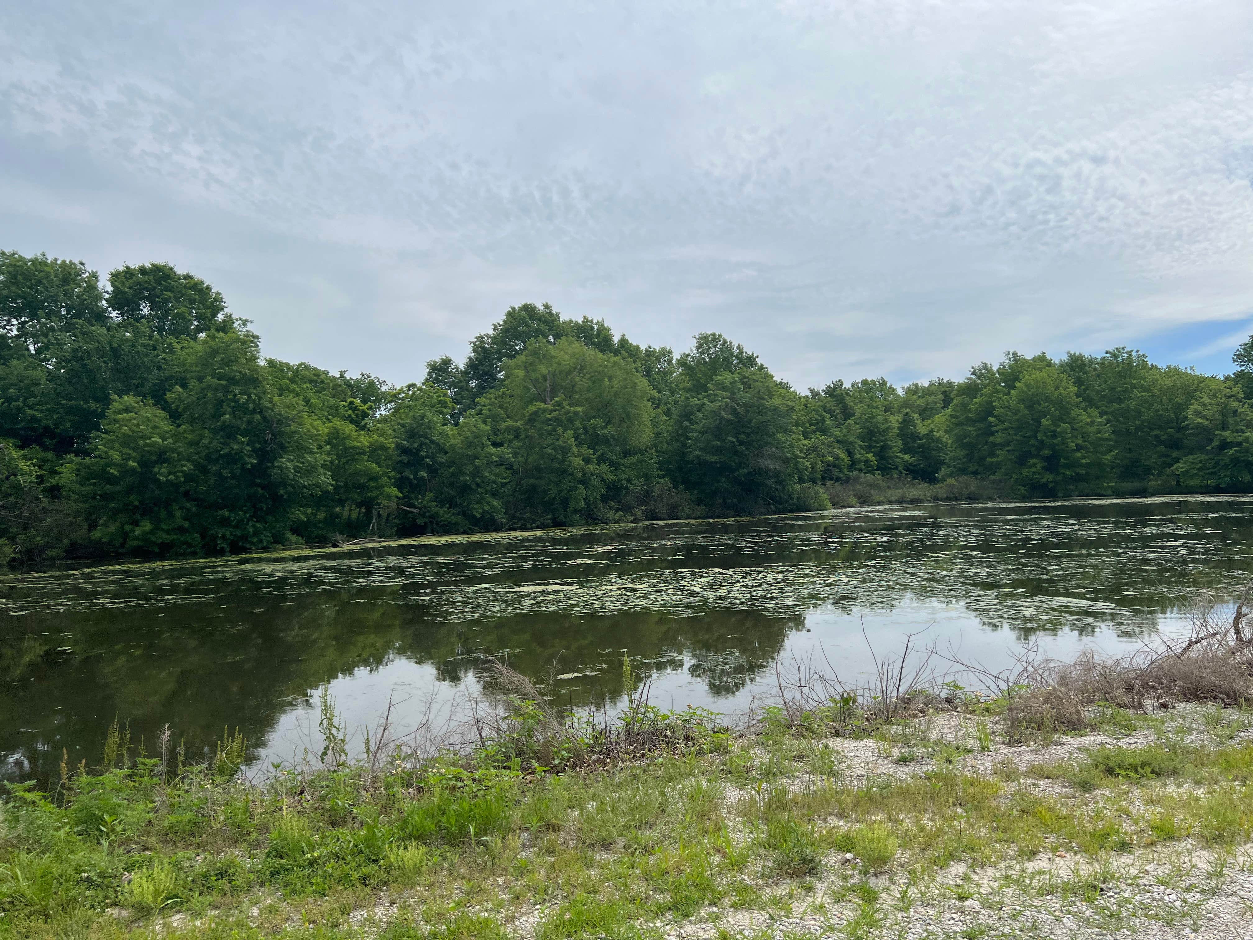 Camper-submitted photo at Fountain Grove Conservation Area near Sumner, MO