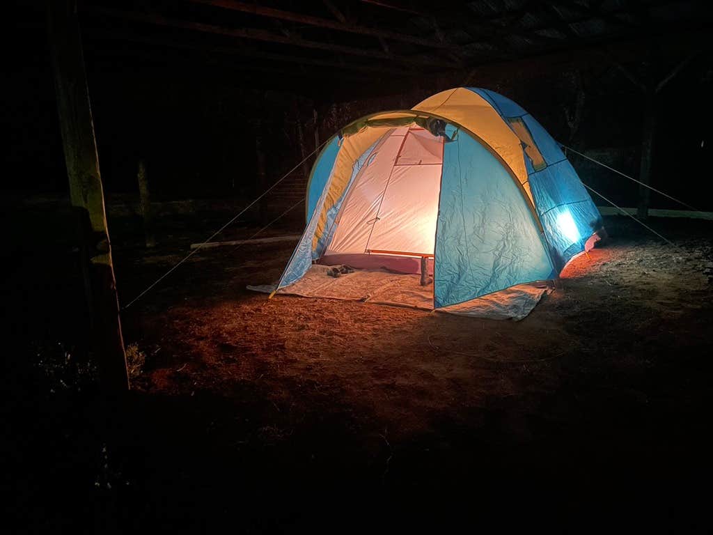 John D.'s photo at Moon Lake Farm - Kitchen, Fishing, Showers in Mississippi