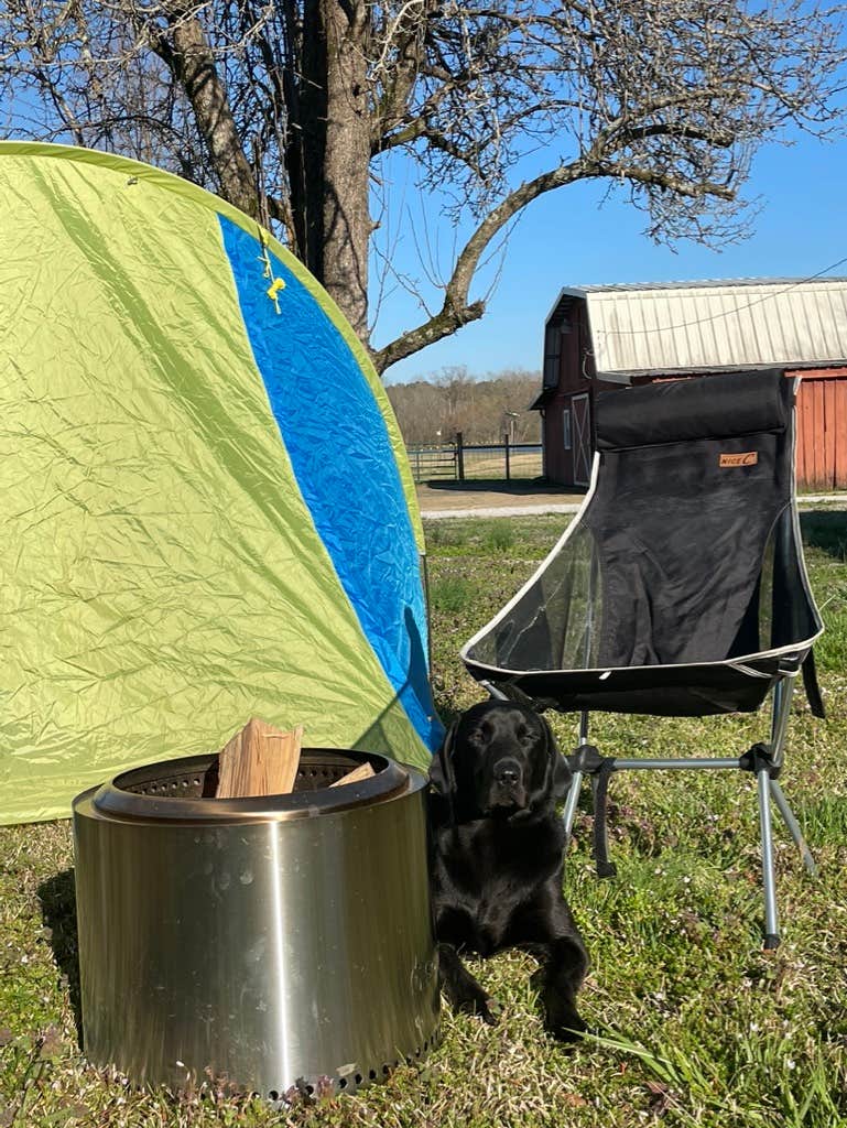John D.'s photo of camping with pets at Moon Lake Farm - Kitchen, Fishing, Showers near Tupelo, MS