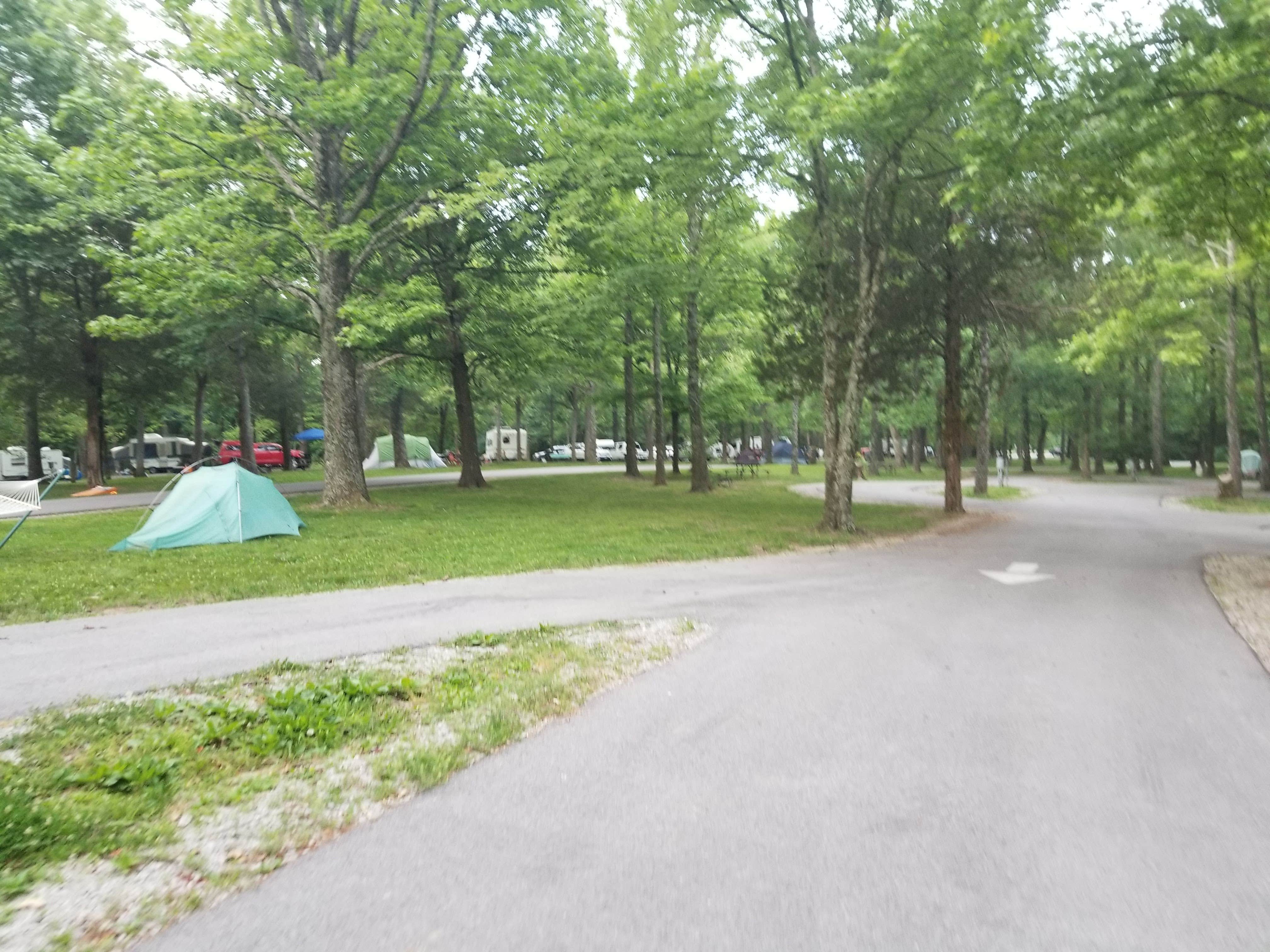 Jan S.'s photo at Giant City State Park Campground near Jonesboro, IL