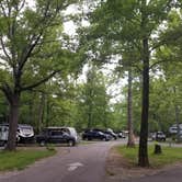 Review photo of Giant City State Park Campground by Jan S., June 7, 2022