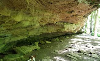 Jan S.'s photo of camping with pets at Giant City State Park Campground near Olive Branch, IL