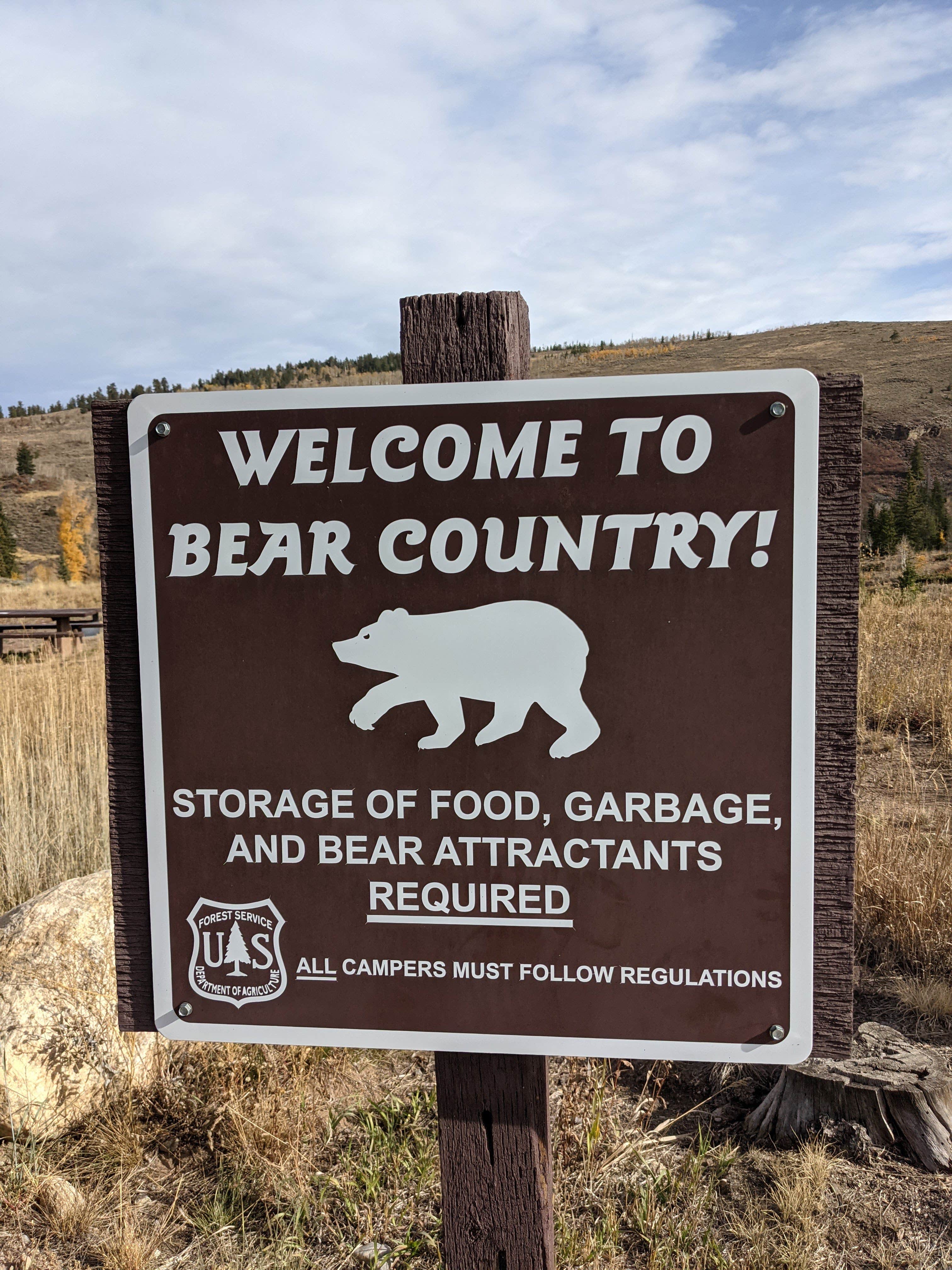Camper-submitted photo at Blue River Campground (Co) — White River National Forest near Dillon, CO