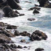 Review photo of Jessie M. Honeyman Memorial State Park Campground by Christy C., July 26, 2016