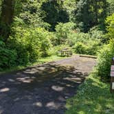 Review photo of Cape Perpetua by Laura M., June 7, 2022