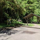 Review photo of Cape Perpetua by Laura M., June 7, 2022