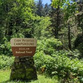 Review photo of Cape Perpetua by Laura M., June 7, 2022