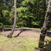 Review photo of Carl G. Washburne Memorial State Park Campground by Laura M., June 7, 2022