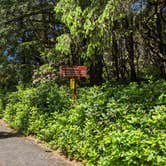 Review photo of Carl G. Washburne Memorial State Park Campground by Laura M., June 7, 2022