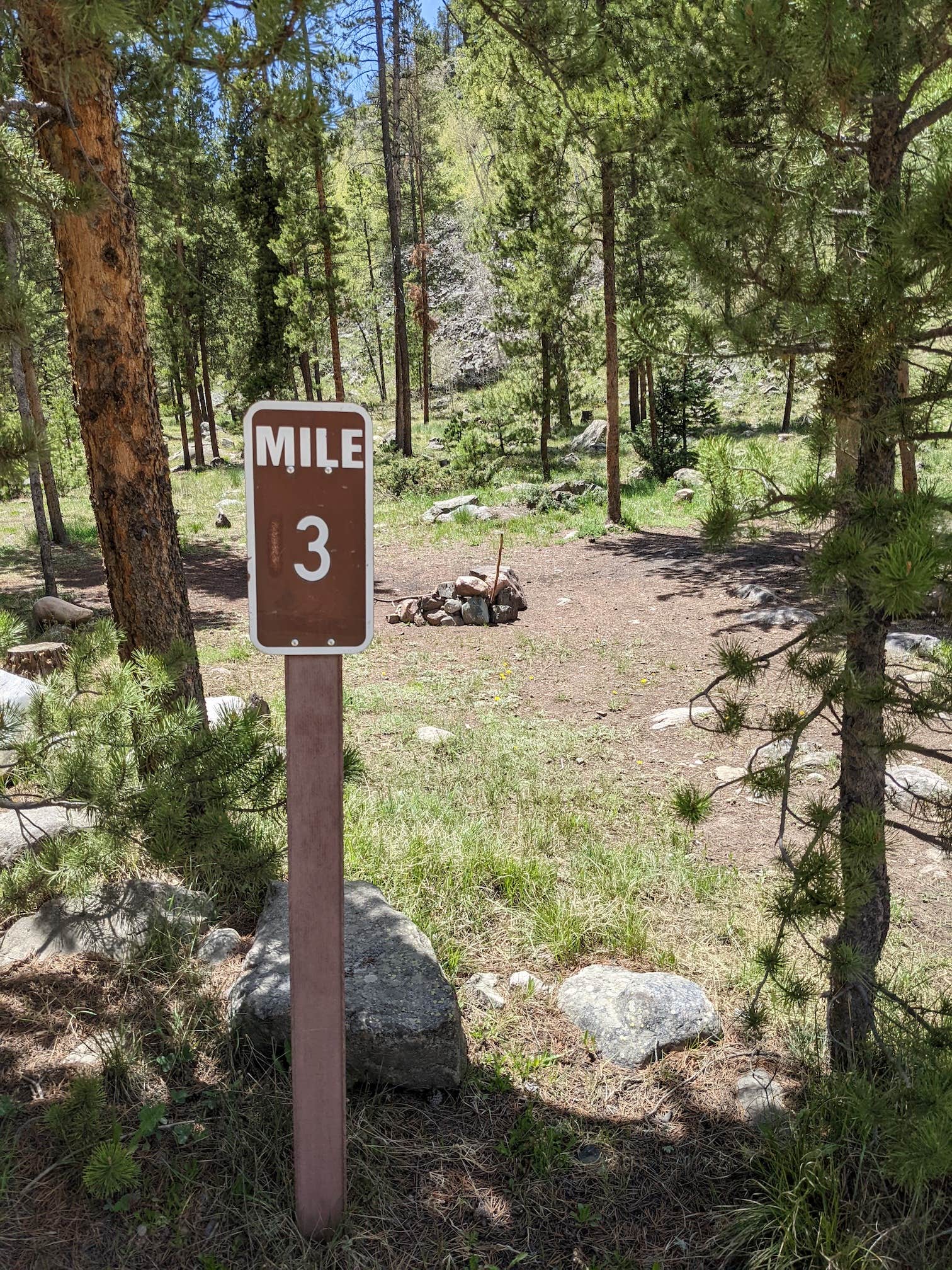 Camper submitted image from Homestake Reservoir Rd Milemarker 3 - Dispersed - 2